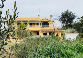 Отель Villa Faro Massolivieri   Племмирио
